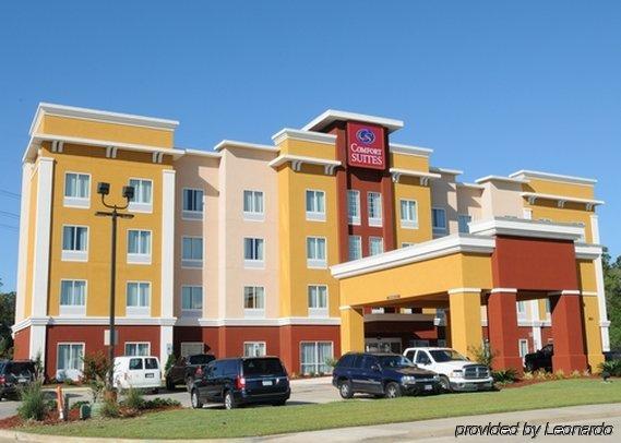 Comfort Suites Near Tanger Outlet Mall Gonzales Exterior foto